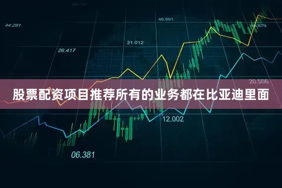 股票配资项目推荐所有的业务都在比亚迪里面