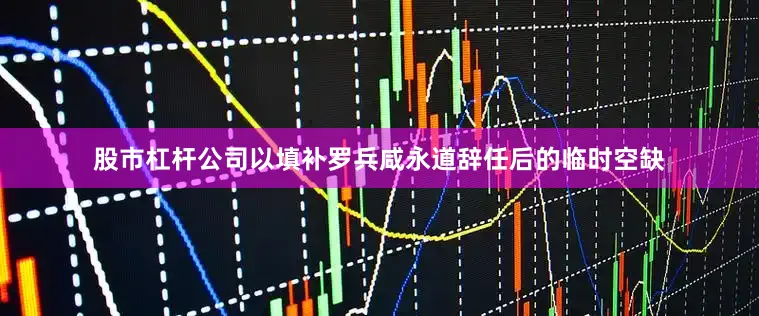 股市杠杆公司以填补罗兵咸永道辞任后的临时空缺