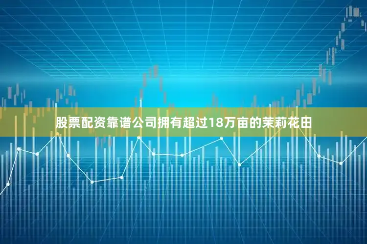 股票配资靠谱公司拥有超过18万亩的茉莉花田