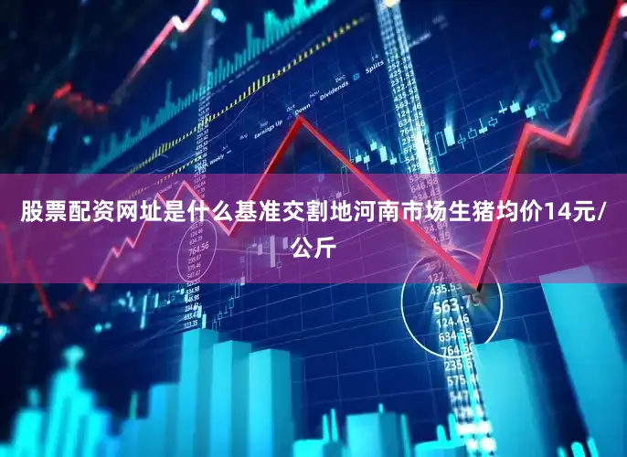 股票配资网址是什么基准交割地河南市场生猪均价14元/公斤