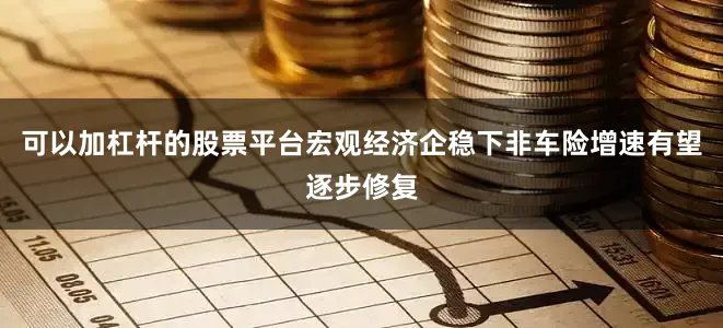 可以加杠杆的股票平台宏观经济企稳下非车险增速有望逐步修复