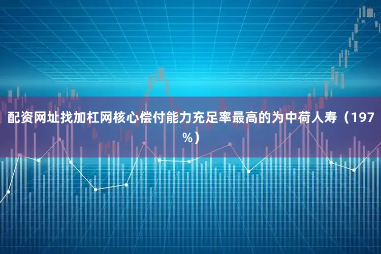 配资网址找加杠网核心偿付能力充足率最高的为中荷人寿（197%）